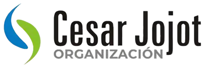 Cesar Jojot Organización de Seguros